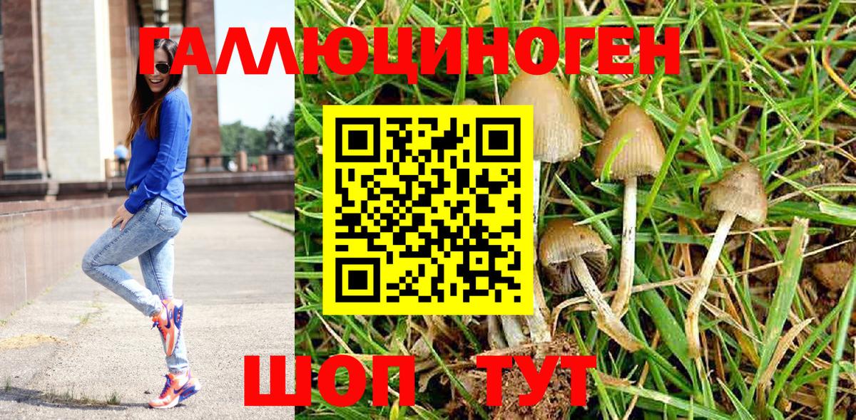 Псилоцибиновые грибы GOLDEN TEACHER Зерноград